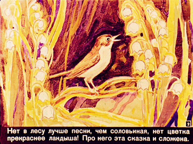 Кадр 2 диафильма «Ландыш»
