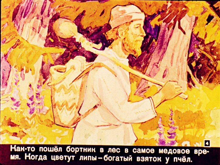 Кадр 4 диафильма «Ландыш»