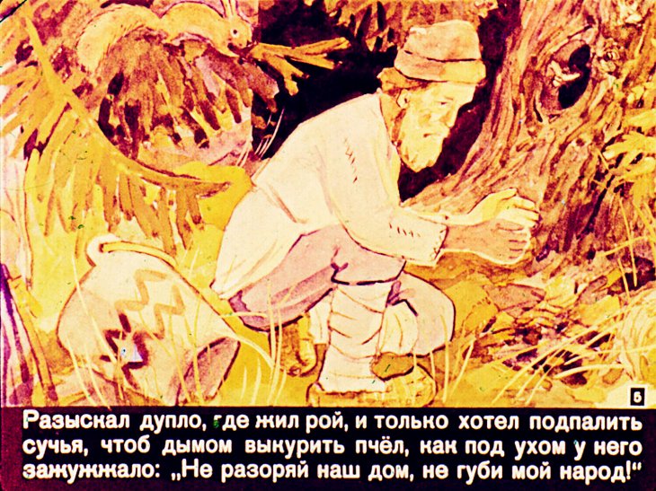 Кадр 5 диафильма «Ландыш»