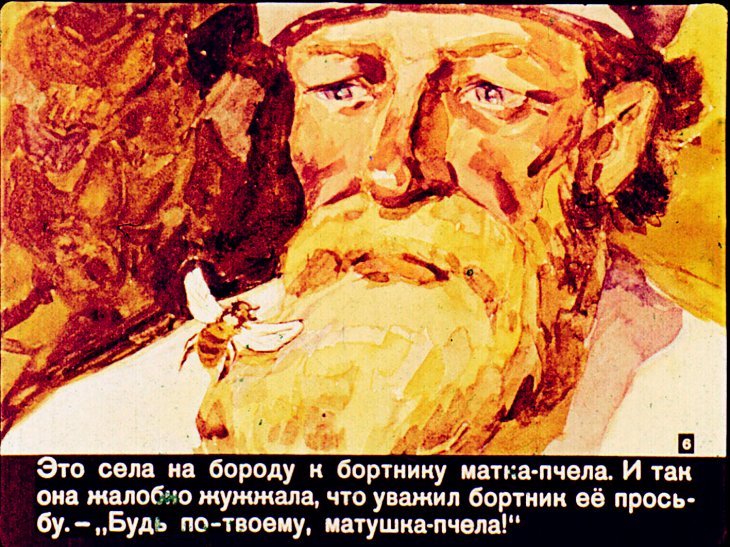 Кадр 6 диафильма «Ландыш»