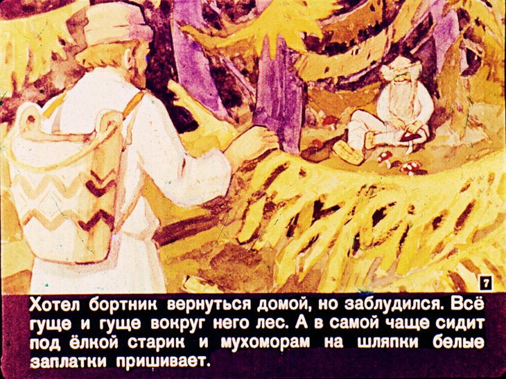 Кадр 7 диафильма «Ландыш»
