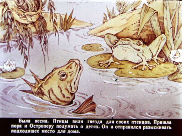 Кадр 2 диафильма «Рыбий дом»