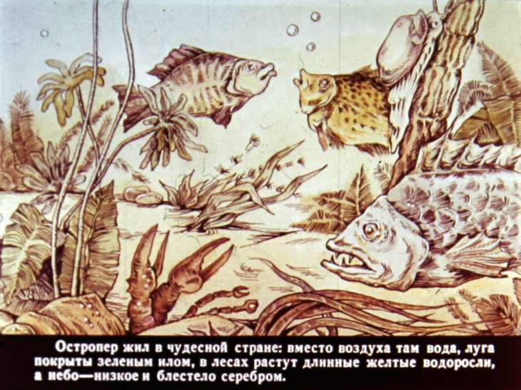 Кадр 3 диафильма «Рыбий дом»