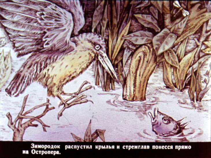 Кадр 5 диафильма «Рыбий дом»