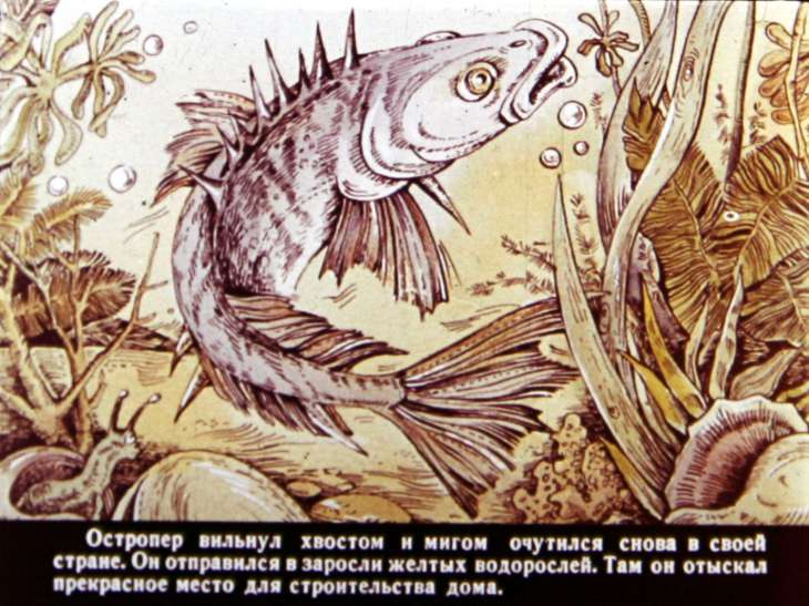 Кадр 6 диафильма «Рыбий дом»