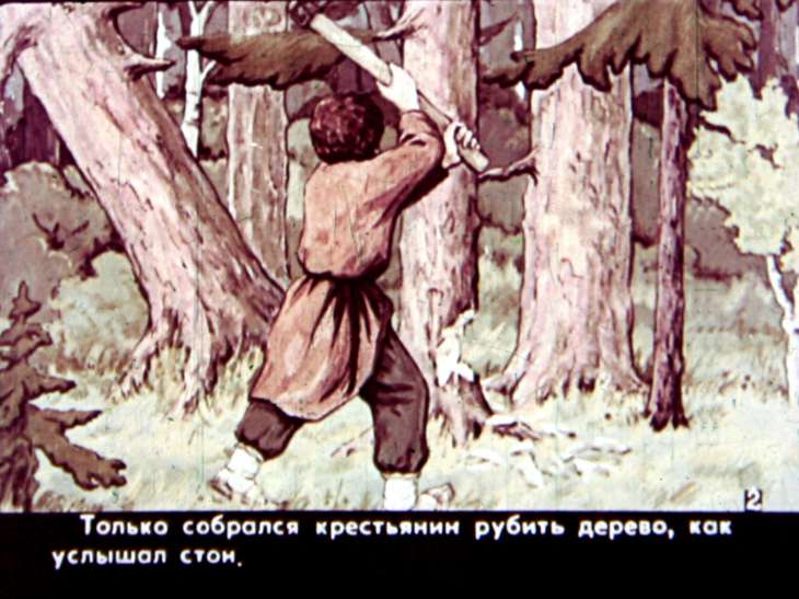 Кадр 4 диафильма «Справедливость»