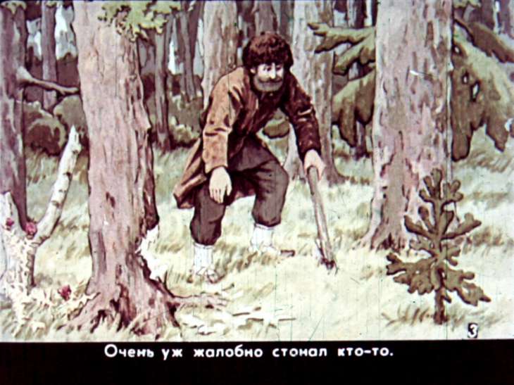 Кадр 5 диафильма «Справедливость»