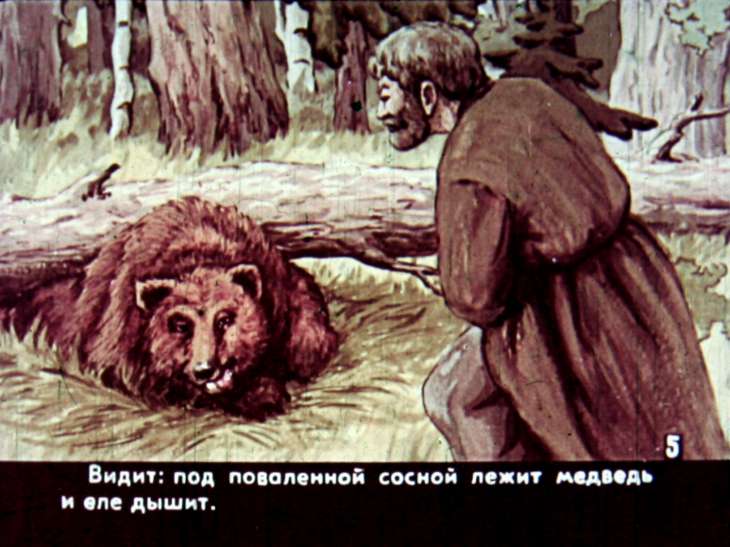 Кадр 7 диафильма «Справедливость»