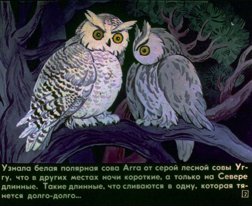 Кадр 2 диафильма «Почему на севере ночь длинная?»