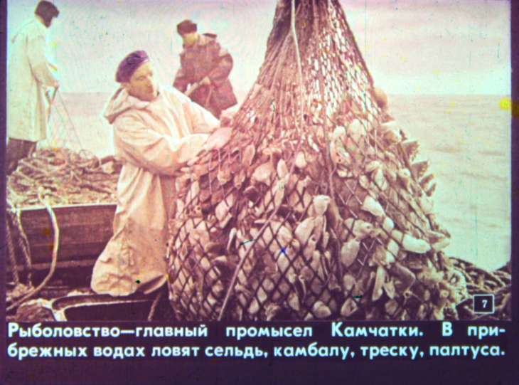 Кадр 7 диафильма «В краю вулканов»