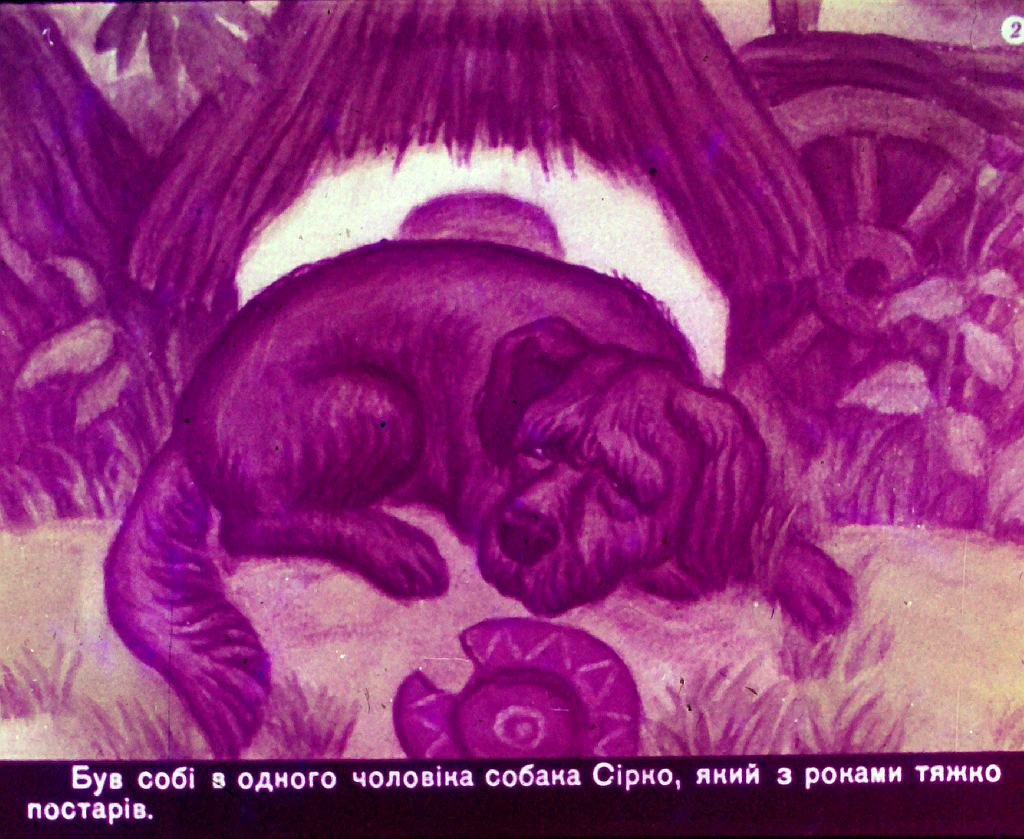 Кадр 2 диафильма «Сирко»