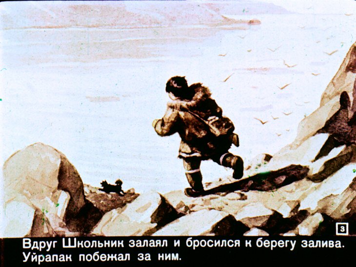Кадр 3 диафильма «Как Снежок в Индию попал»