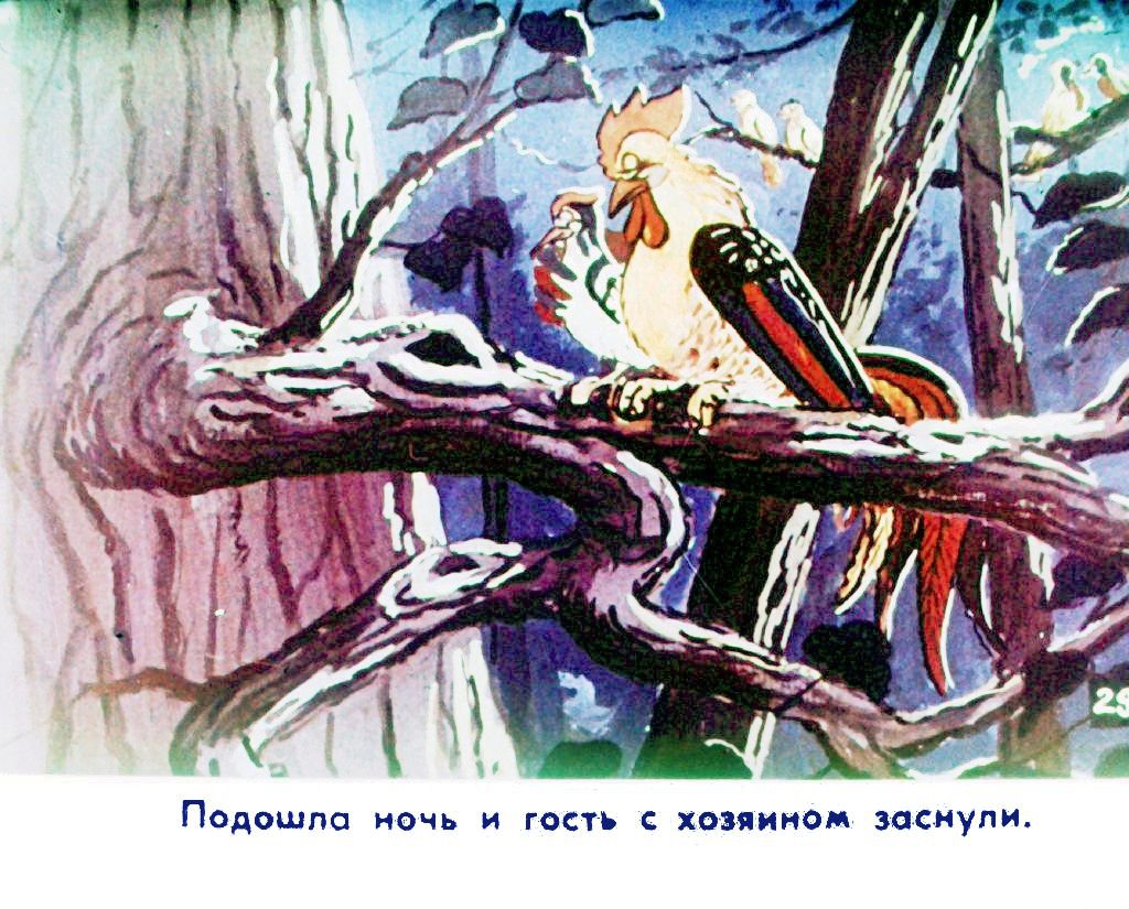 Кадр 2 диафильма «Прогулка Кукареку. Часть 2»