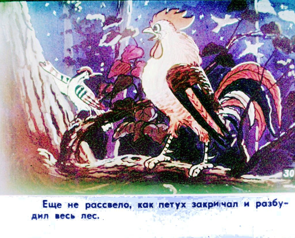 Кадр 3 диафильма «Прогулка Кукареку. Часть 2»