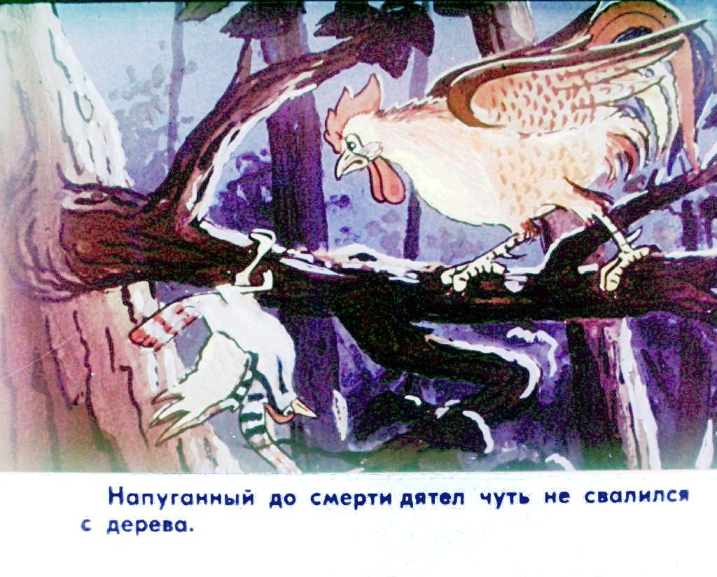 Кадр 4 диафильма «Прогулка Кукареку. Часть 2»