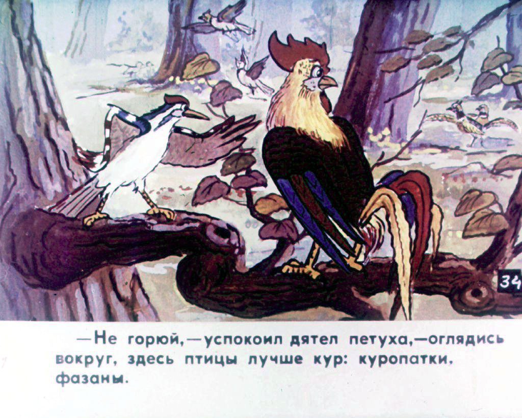 Кадр 7 диафильма «Прогулка Кукареку. Часть 2»