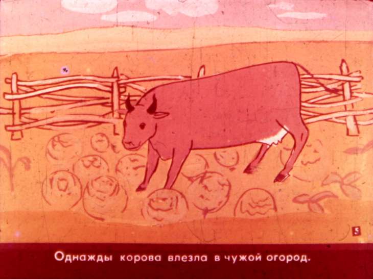 Кадр 7 диафильма «Умная жена. Часть 1»