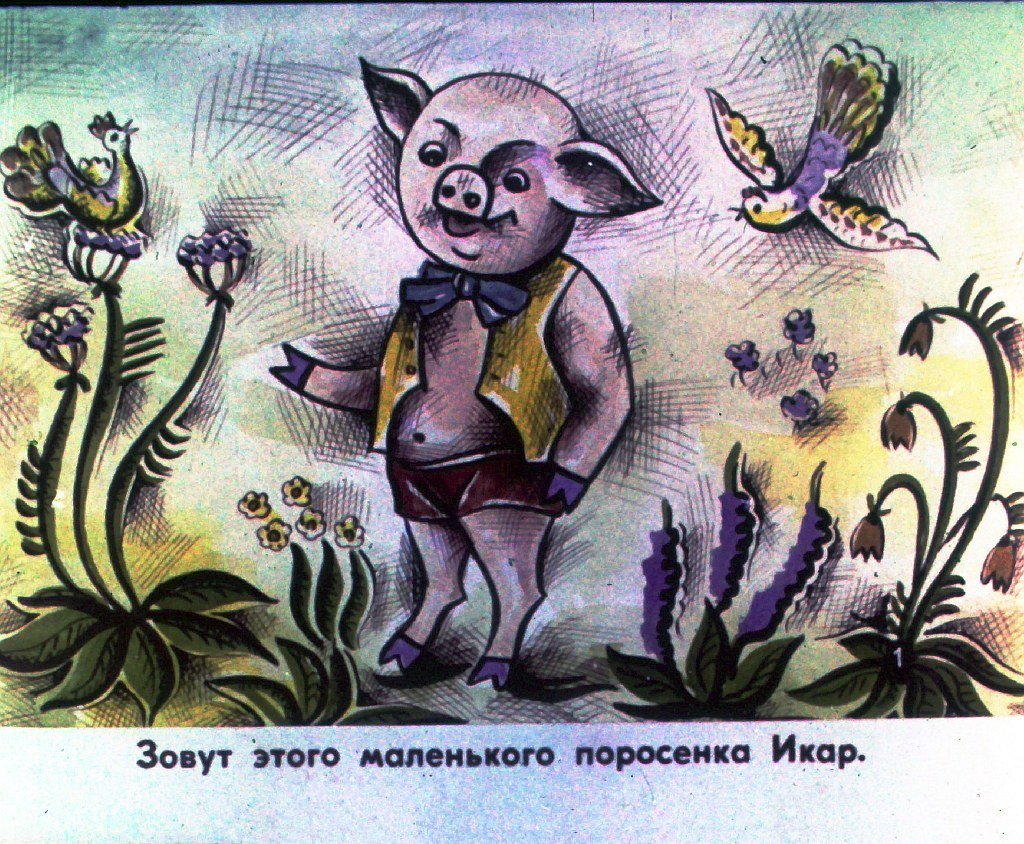 Кадр 3 диафильма «Поросенок который хотел летать»