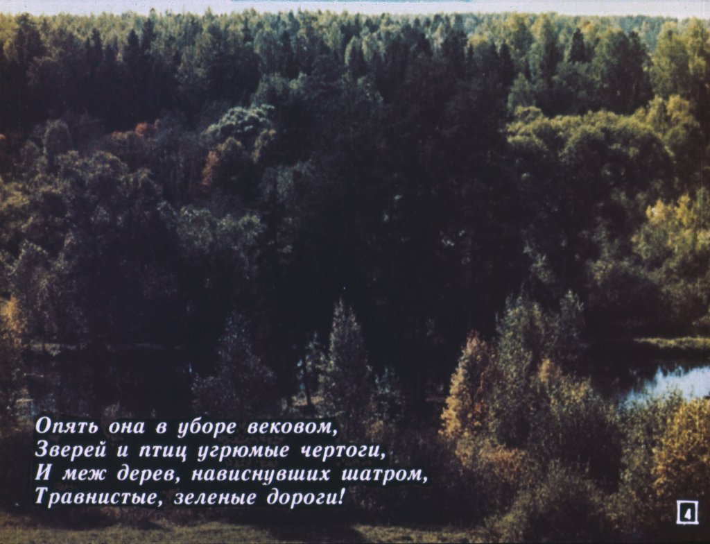 Кадр 4 диафильма «"Всему начало здесь, в краю моем родимом..."»