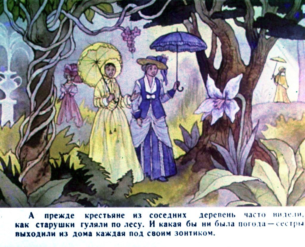 Кадр 3 диафильма «Старушки с зонтиками»