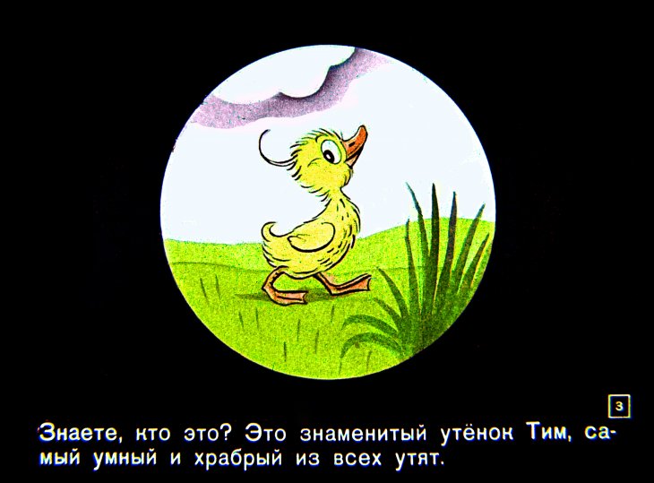Кадр 2 диафильма «Знаменитый утенок Тим»
