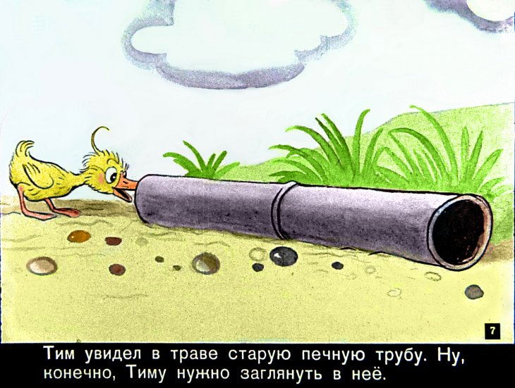 Кадр 6 диафильма «Знаменитый утенок Тим»