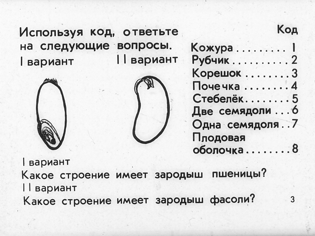 Кадр 3 диафильма «Семя»