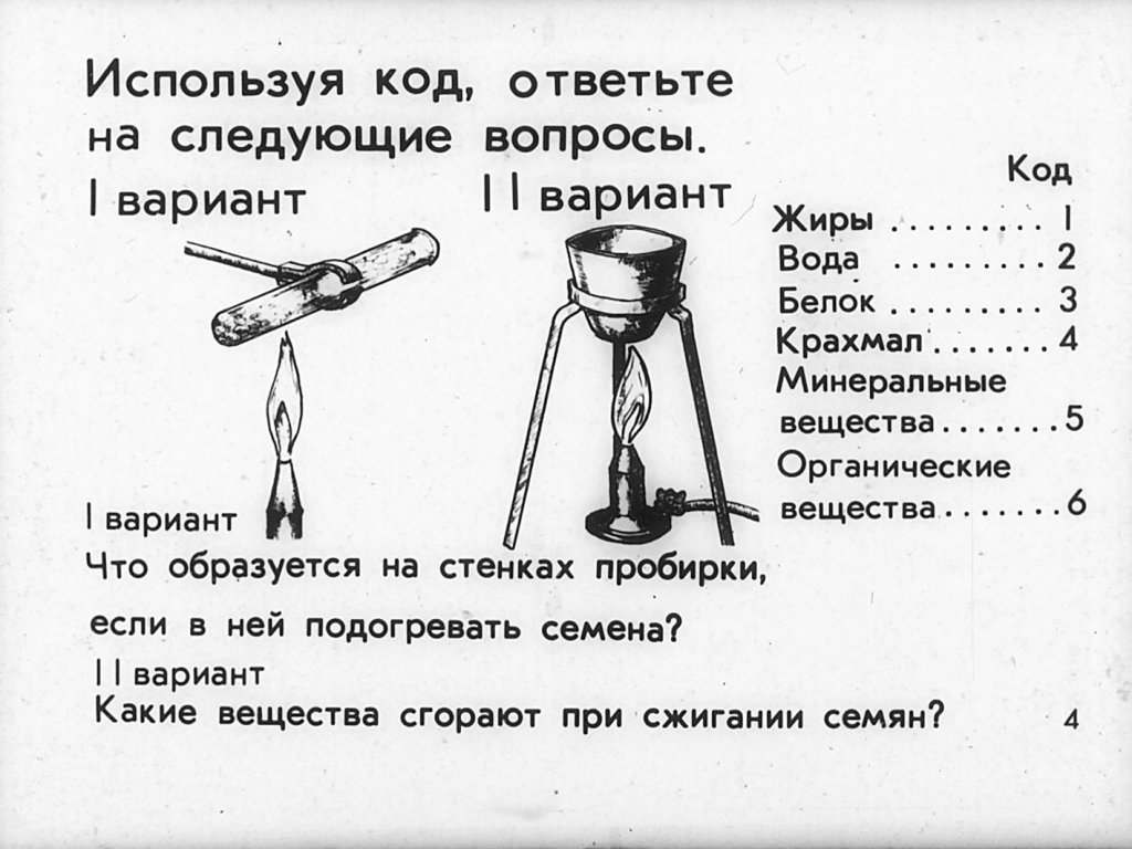 Кадр 4 диафильма «Семя»