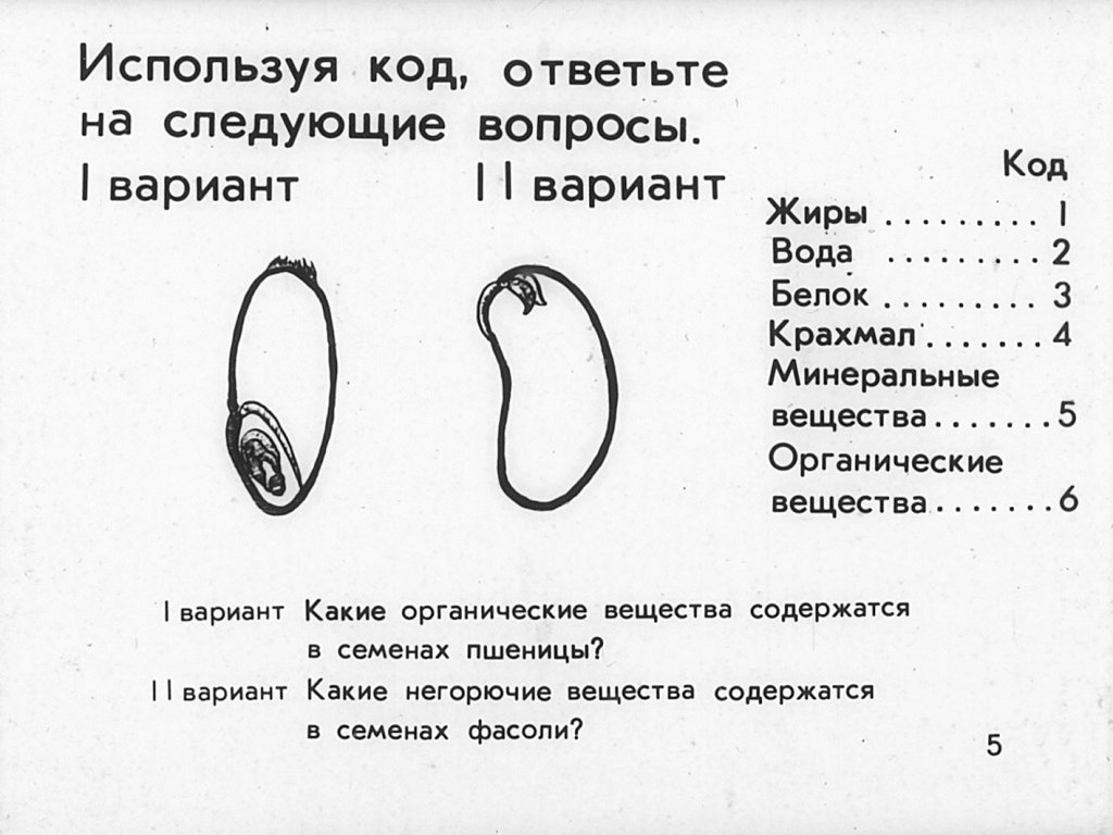 Кадр 5 диафильма «Семя»