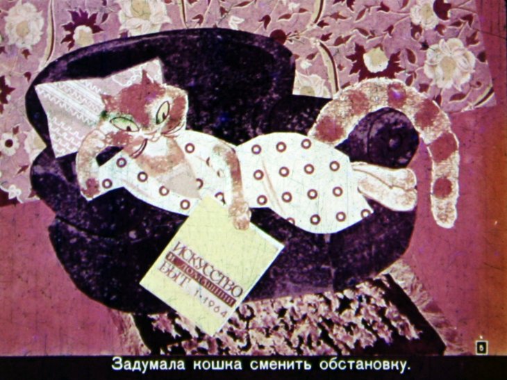 Кадр 5 диафильма «Сказка о кошке по имени Мышка»