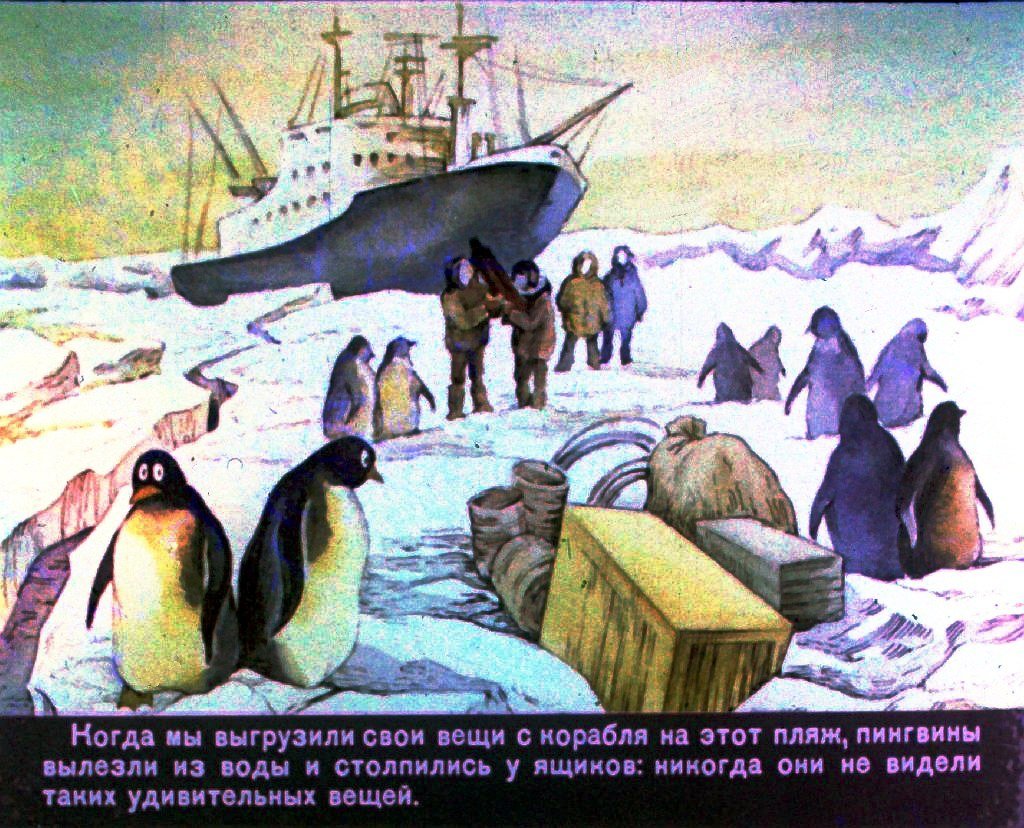 Кадр 3 диафильма «Страна пингвиния»