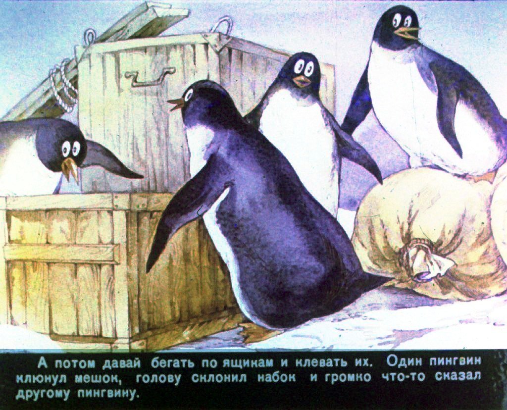 Кадр 4 диафильма «Страна пингвиния»