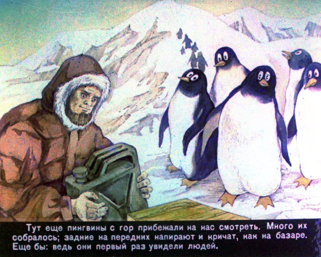 Кадр 6 диафильма «Страна пингвиния»