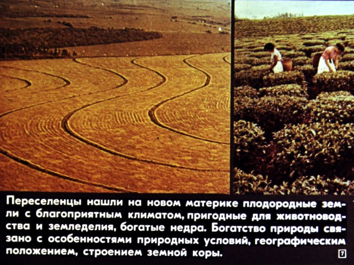 Кадр 7 диафильма «Южная Америка»