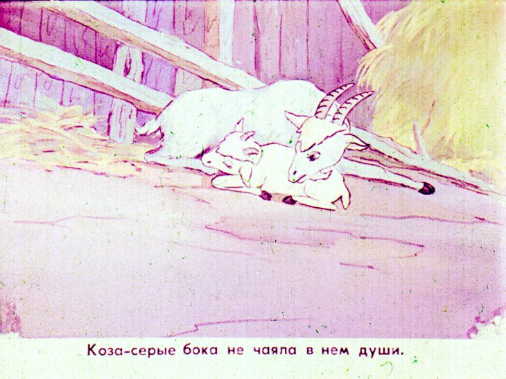 Кадр 4 диафильма «Упрямый козлик»