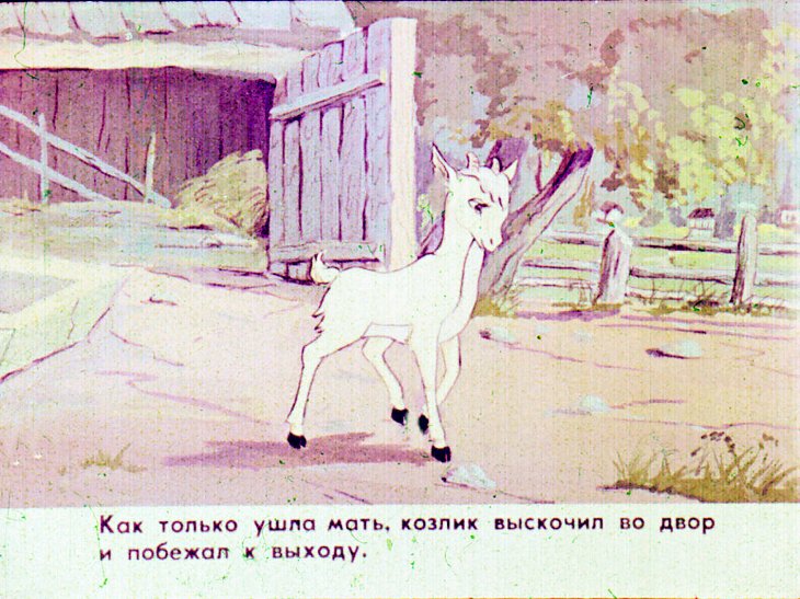 Кадр 7 диафильма «Упрямый козлик»