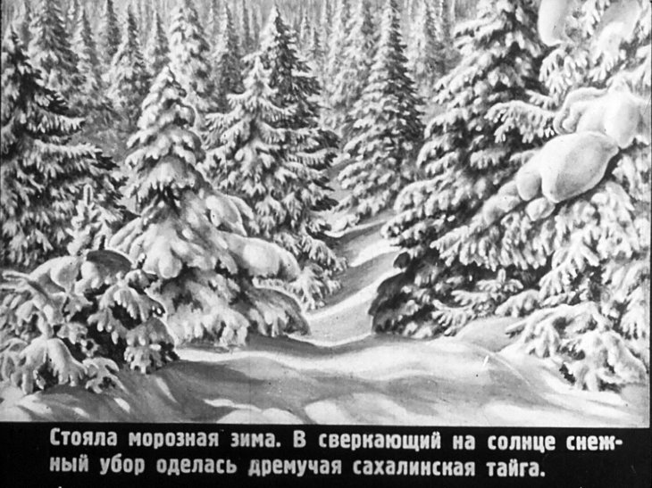Кадр 3 диафильма «В тайге»