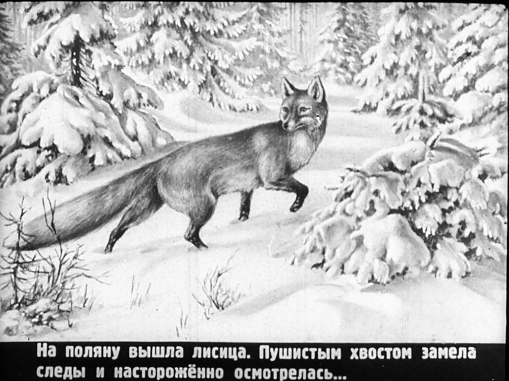 Кадр 5 диафильма «В тайге»