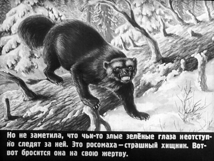 Кадр 6 диафильма «В тайге»