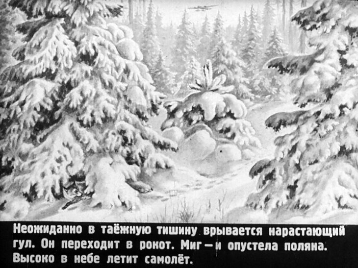 Кадр 7 диафильма «В тайге»