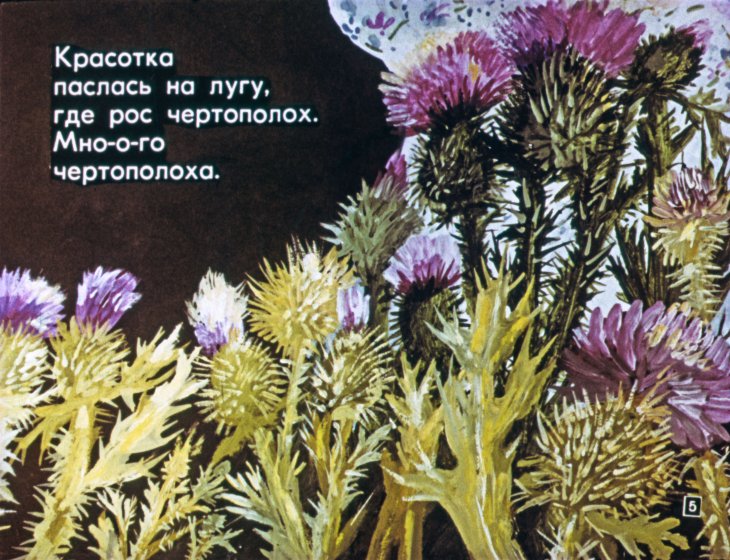 Кадр 5 диафильма «Про корову Красотку»