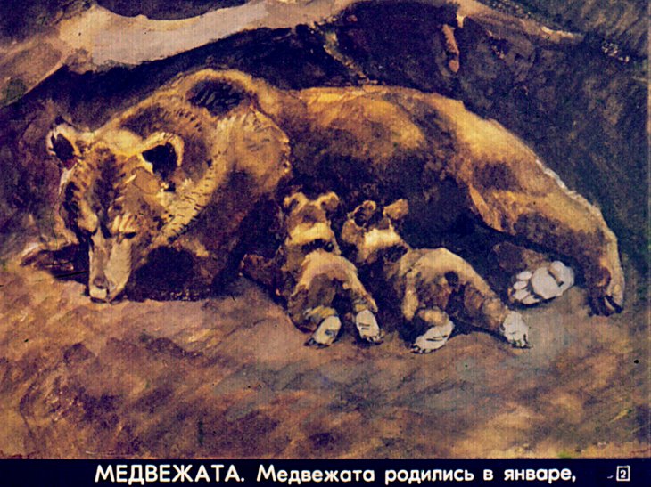 Кадр 2 диафильма «Летом»