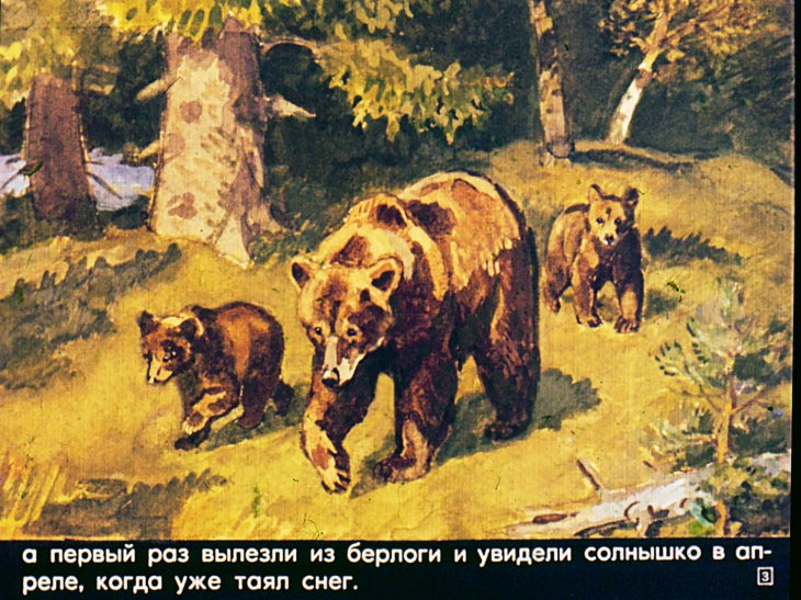 Кадр 3 диафильма «Летом»