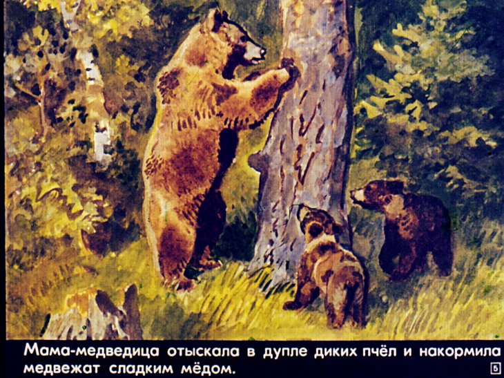 Кадр 5 диафильма «Летом»