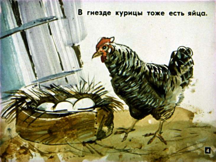 Кадр 4 диафильма «Цыпленок и утенок»