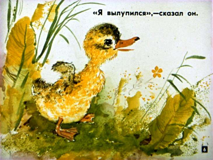 Кадр 6 диафильма «Цыпленок и утенок»