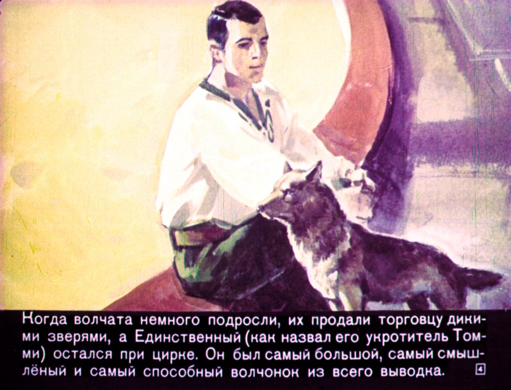 Кадр 4 диафильма «Единственный»