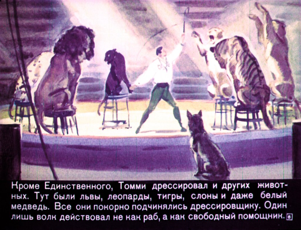 Кадр 6 диафильма «Единственный»