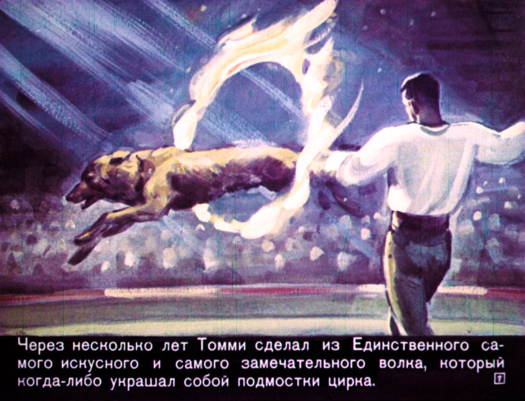 Кадр 7 диафильма «Единственный»