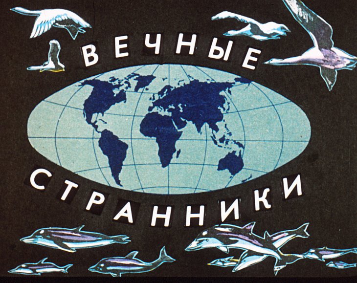 Кадр 1 диафильма «Вечные странники»